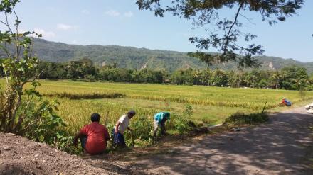 PERBAIKAN SARANA MASYARAKAT BANGKET JALAN DI DUSUN SROYO